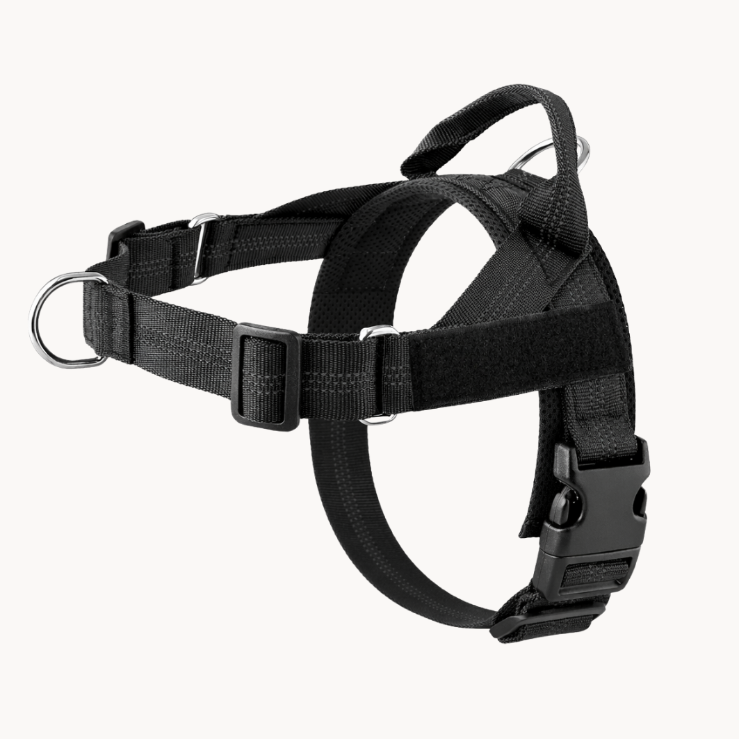 Floame Pettorina Anti-Tiro per Cani
