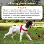 Floame Pettorina Anti-Tiro per Cani