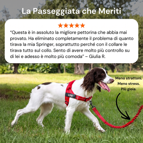 Floame Pettorina Anti-Tiro per Cani