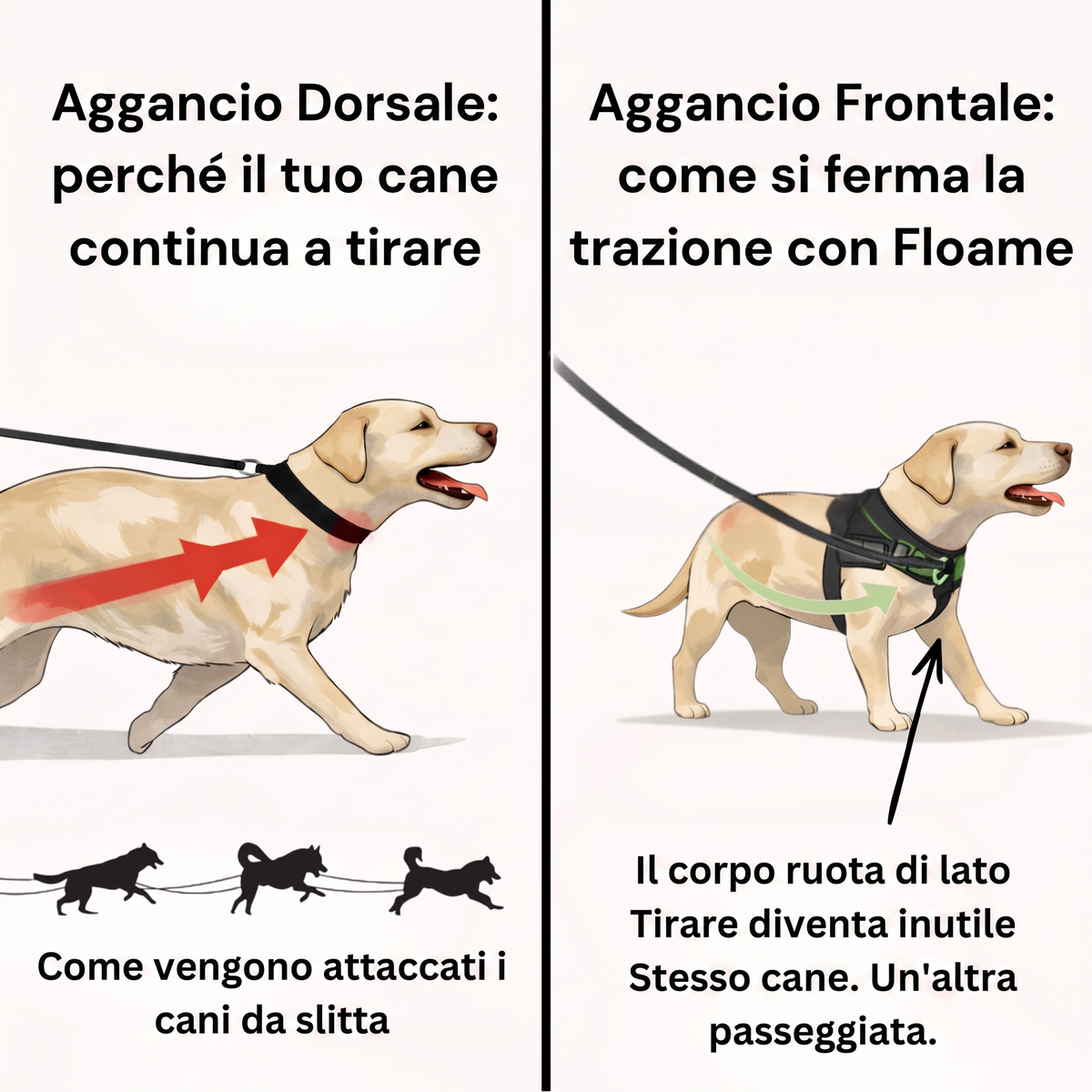 Floame Pettorina Anti-Tiro per Cani