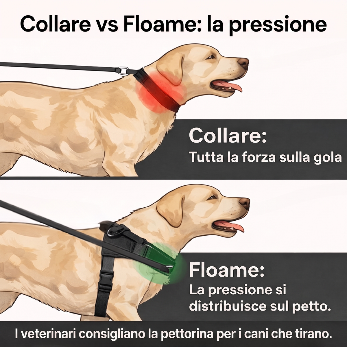 Floame Pettorina Anti-Tiro per Cani