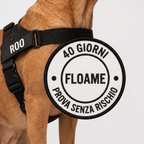 Floame Pettorina Anti-Tiro per Cani